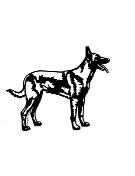 Malinois