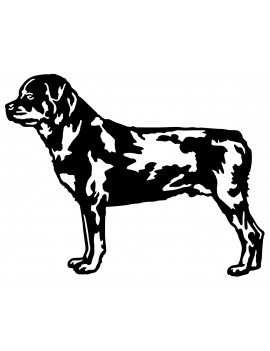 Rottweiller