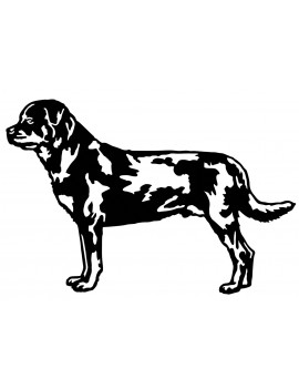 Rottweiller