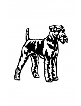 Airedale terrier