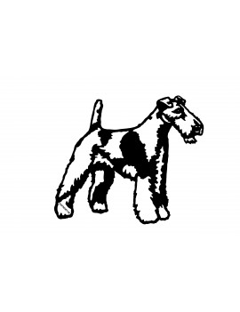 Fox terrier poil dur