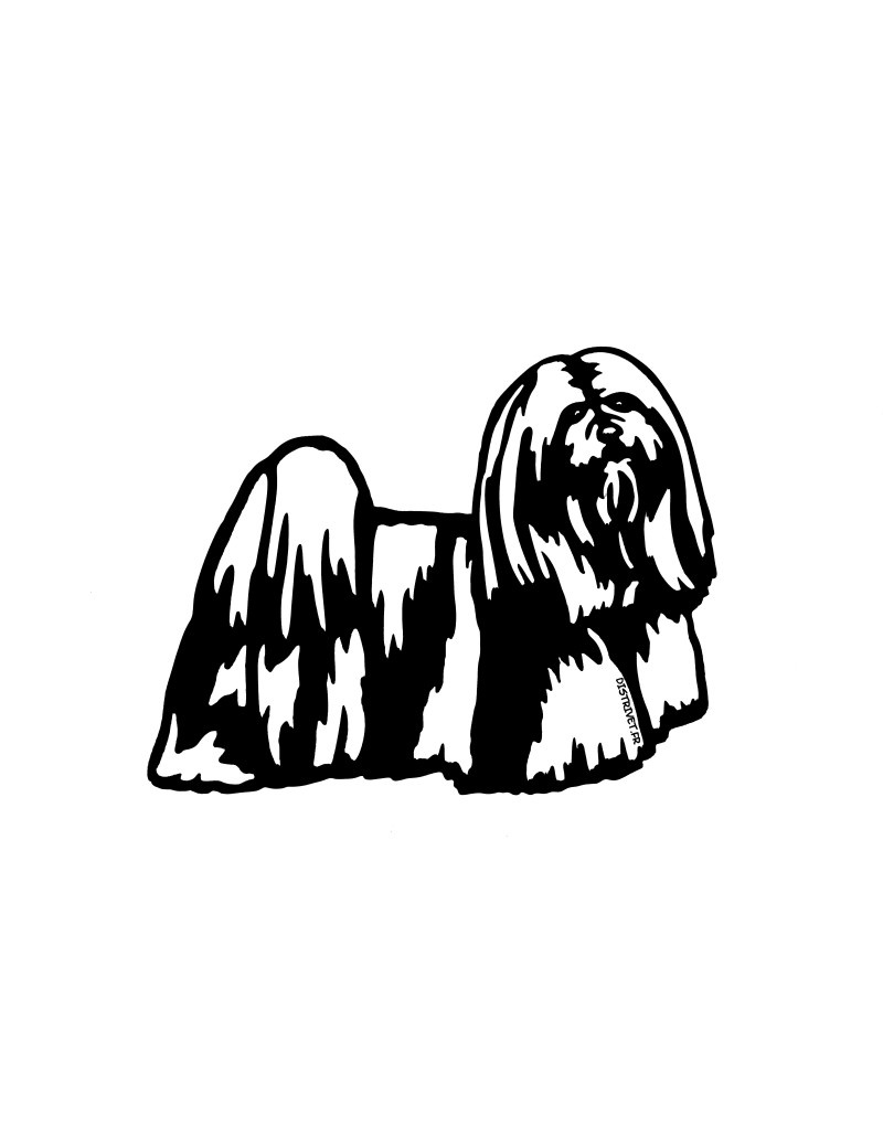 Lhassa Apso