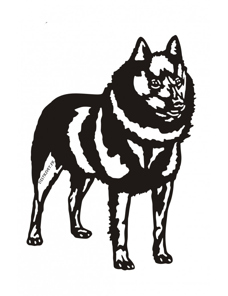 Schipperke