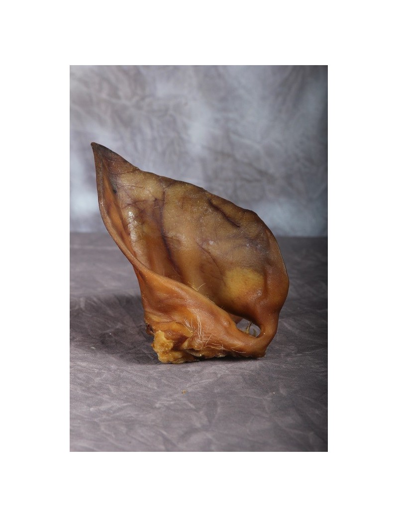 OREILLE DE PORC