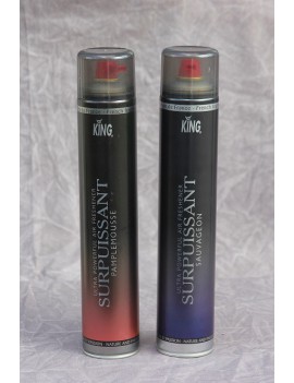 Spray Surpuissant air Frais 750 ml