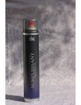 Spray Surpuissant air Frais 750 ml