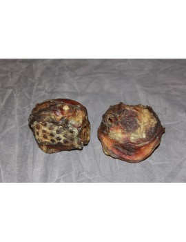 Pavillon d'oreilles de Boeuf