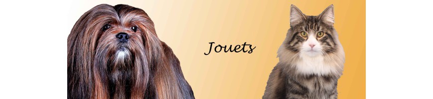 Jouets pour chats, jouets pour chiens