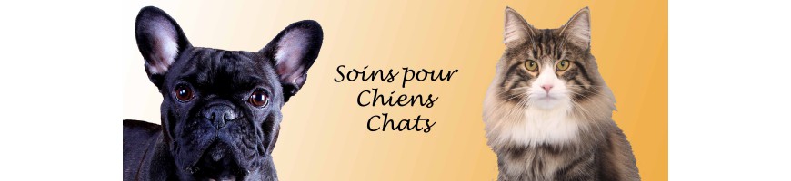 Soins pour chiens, soins pour chats