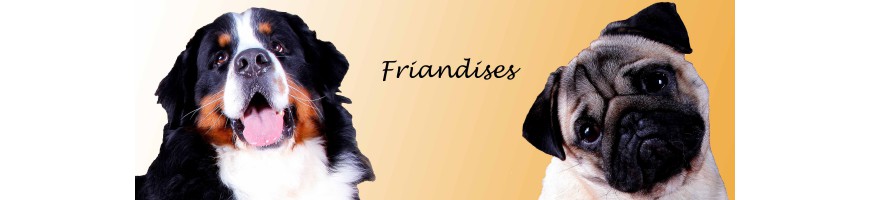 Friandises pour chiens, friandises pour chats