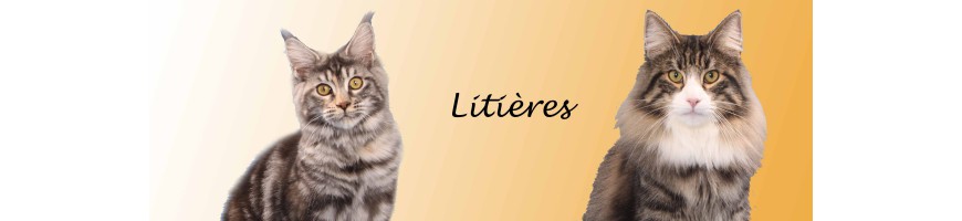 Litières pour chats