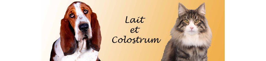Colostrum pour animaux, lait precial avec colostrum