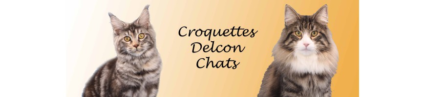 Croquettes DELCON chat