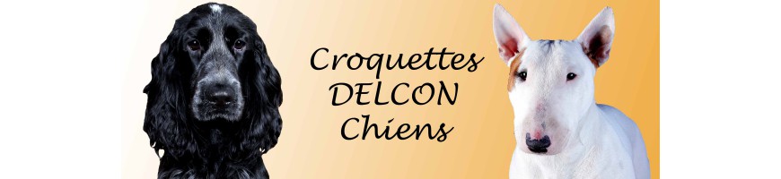 Croquettes DELCON chien