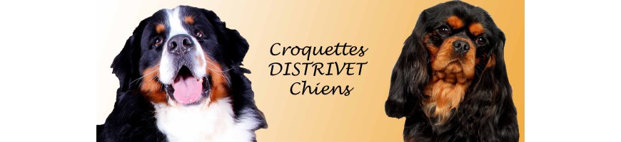 Croquettes DISTRIVET chien (20Kg)